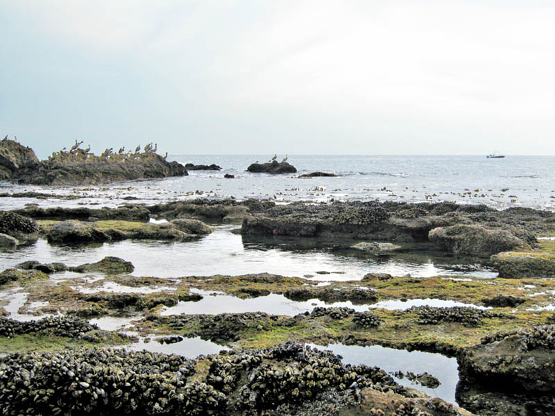 slideshow